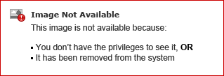 Stuck in Login Loop with the NVIDIA License or Support Portal