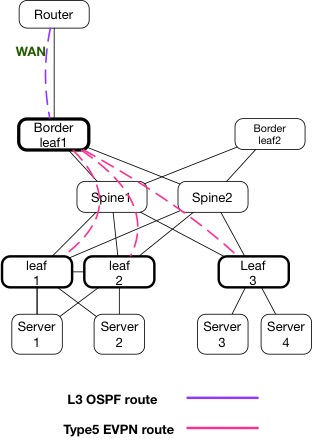 NVIDIA Enterprise Support Portal | EVPN Symmetric Routing with Mellanox ...